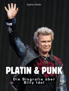 Cover Platin & Punk