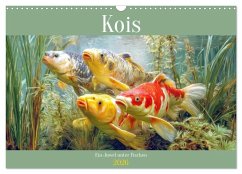 Kois - Ein Juwel unter Fischen (Wandkalender 2026 DIN A3 quer), CALVENDO Monatskalender