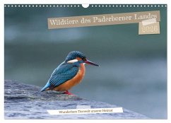 Wildtiere des Paderborner Landes (Wandkalender 2026 DIN A3 quer), CALVENDO Monatskalender