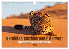 Namibias faszinierende Tierwelt (Wandkalender 2026 DIN A4 quer), CALVENDO Monatskalender