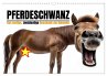 Pferdeschwanz - Das lustige,... - Bild 1