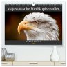 Majestätische Weißkopfseeadler - Der... - Bild 1