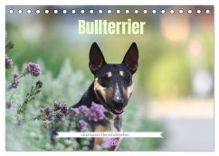 Bullterrier - charmante Herzensbrecher (Tischkalender 2026 DIN A5 quer), CALVENDO Monatskalender Bullterrier - charmante Herzensbrecher (Tischkalender 2026 DIN A5 quer), CALVENDO Monatskalender