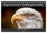 Majestätische Weißkopfseeadler - Der... - Bild 1