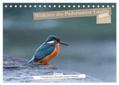 Wildtiere des Paderborner Landes (Tischkalender 2026 DIN A5 quer), CALVENDO Monatskalender