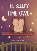 The Sleepy Time Owl (eBook, ePUB)