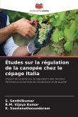Études sur la régulation de la canopée chez le cépage Italia Études sur la régulation de la canopée chez le cépage Italia