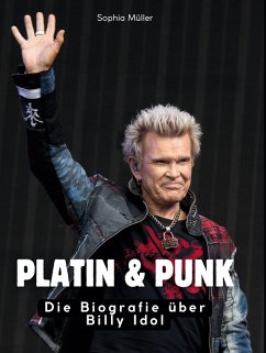 Cover Platin & Punk