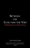 Between the Echo and the Void Between the Echo and the Void