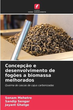 Cover Concepção e desenvolvimento de fogões a biomassa melhorados