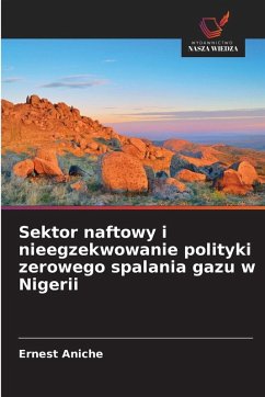 Sektor naftowy i nieegzekwowanie polityki zerowego spalania gazu w Nigerii Cover Sektor naftowy i nieegzekwowanie polityki zerowego spalania gazu w Nigerii