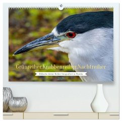 Grünreiher - Krabbenreiher - Nachtreiher (hochwertiger Premium Wandkalender 2026 DIN A2 quer), Kunstdruck in Hochglanz Grünreiher - Krabbenreiher - Nachtreiher (hochwertiger Premium Wandkalender 2026 DIN A2 quer), Kunstdruck in Hochglanz