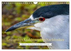 Cover Grünreiher - Krabbenreiher - Nachtreiher (Wandkalender 2026 DIN A4 quer), CALVENDO Monatskalender