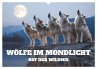 Wölfe im Mondlicht - Ruf der Wildnis... - Bild 1