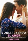 Construyendo el amor (eBook, ePUB)