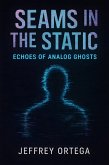 Seams in the Static (eBook, ePUB)