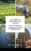 Una Breve Historia de Assam   Assam, la tierra del Rinoceronte, el Té y el Brahmaputra (eBook, ePUB)