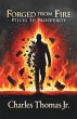 Forged From Fire (eBook, ePUB) - Bild 1