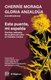 Este puente, mi espalda (eBook, ePUB)