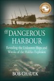 The Dangerous Harbour (eBook, ePUB)