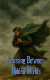 Crossing Between Hidden Worlds (eBook, ePUB) Crossing Between Hidden Worlds (eBook, ePUB)