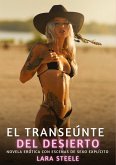 El Transeúnte del Desierto