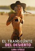 El Transeúnte del Desierto