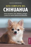 Guía Completa del Chihuahua