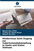 Hindernisse beim Zugang zur Tuberkulosebekämpfung in Sonla und Gialai, Vietnam Hindernisse beim Zugang zur Tuberkulosebekämpfung in Sonla und Gialai, Vietnam
