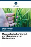 Morphologische Vielfalt der Genotypen von Hartweizen. Morphologische Vielfalt der Genotypen von Hartweizen.