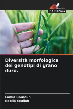 Diversità morfologica dei genotipi di grano duro. - Bourouh, Lamia;Souilah, Nabila