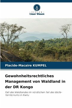 Cover Gewohnheitsrechtliches Management von Waldland in der DR Kongo