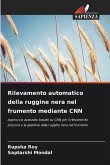 Rilevamento automatico della ruggine nera nel frumento mediante CNN Rilevamento automatico della ruggine nera nel frumento mediante CNN