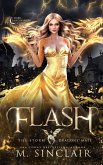 Flash Flash