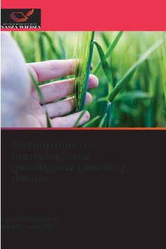 Cover Ró¿norodno¿¿ morfologiczna genotypów pszenicy durum.