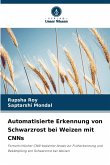 Automatisierte Erkennung von Schwarzrost bei Weizen mit CNNs Automatisierte Erkennung von Schwarzrost bei Weizen mit CNNs