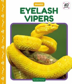 Cover Eyelash Vipers