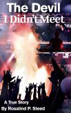 The Devil I Didn't Meet (eBook, ePUB) The Devil I Didn't Meet (eBook, ePUB)