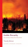Gothic Precarity (eBook, ePUB)