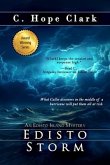 Edisto Storm (eBook, ePUB)