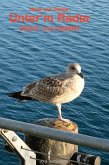 Henk van Zweije: Unter'm Radar (eBook, ePUB)