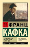 Dnevniki. 1910-1923 (eBook, ePUB)