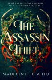 Assassin Thief (eBook, ePUB)
