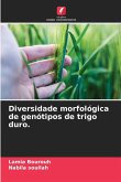 Diversidade morfológica de genótipos de trigo duro. Diversidade morfológica de genótipos de trigo duro.