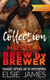 hôtel à Brew by Brewer, la collection: nouvelles torrides sur les montagnards (eBook, ePUB)