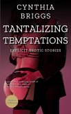 Tantalizing Temptations (eBook, ePUB)