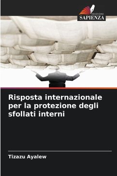 Cover Risposta internazionale per la protezione degli sfollati interni