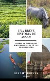 Una Breve Historia de Assam   Assam, la tierra del Rinoceronte, el Té y el Brahmaputra