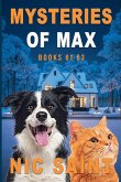 Mysteries of Max Mysteries of Max