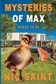 Mysteries of Max Mysteries of Max